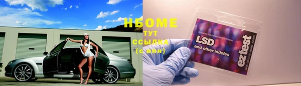 шишки Алзамай