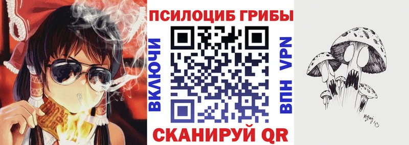 Псилоцибиновые грибы ЛСД  KRAKEN зеркало  Качканар 